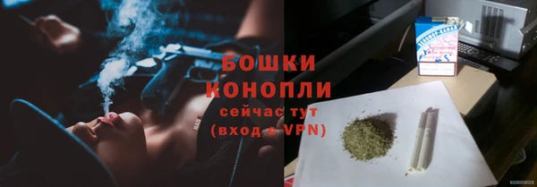 стаф Бронницы