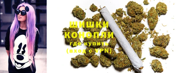 не бодяженный Бородино