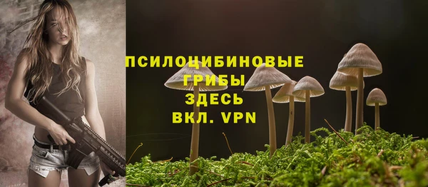 не бодяженный Бородино