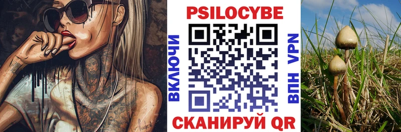 Галлюциногенные грибы мухоморы  Купить где  Нюрба 